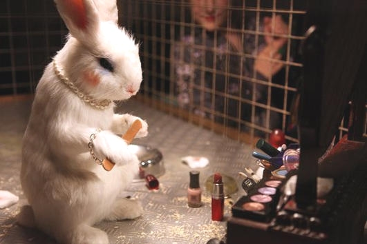 Leaping Bunnies: Beauties, could you save us please? It really hurts!