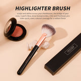 Large Fan Brush