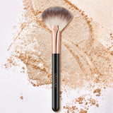 Large Fan Brush