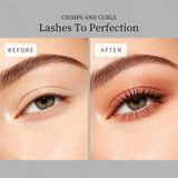5 In 1 Professional Eyelash Curler Set