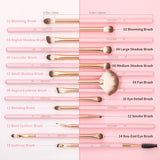 Docolor Soft Pink 15pc Eyeshadow Brush Set - 6pcs in Bundle