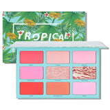 Tropical 9 Color Blusher Palette